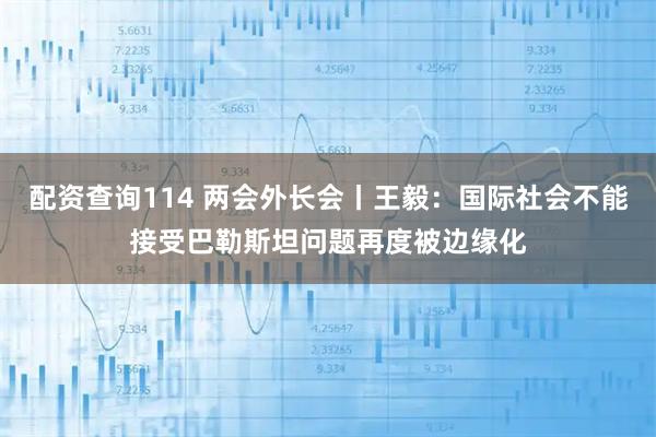 配资查询114 两会外长会丨王毅：国际社会不能接受巴勒斯坦问题再度被边缘化